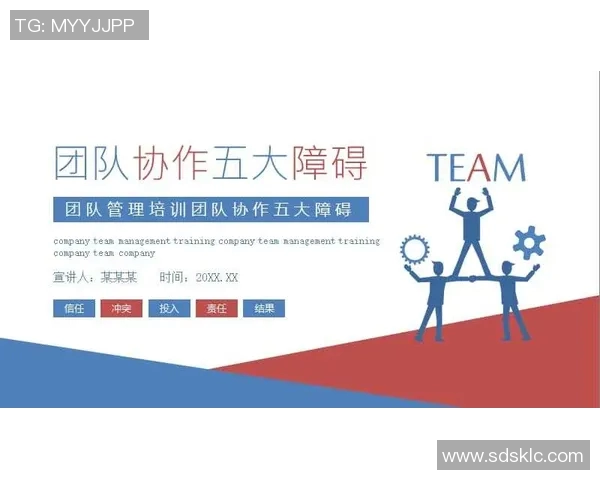 深圳排球队战术解析：从技术细节到团队协作的全方位探讨